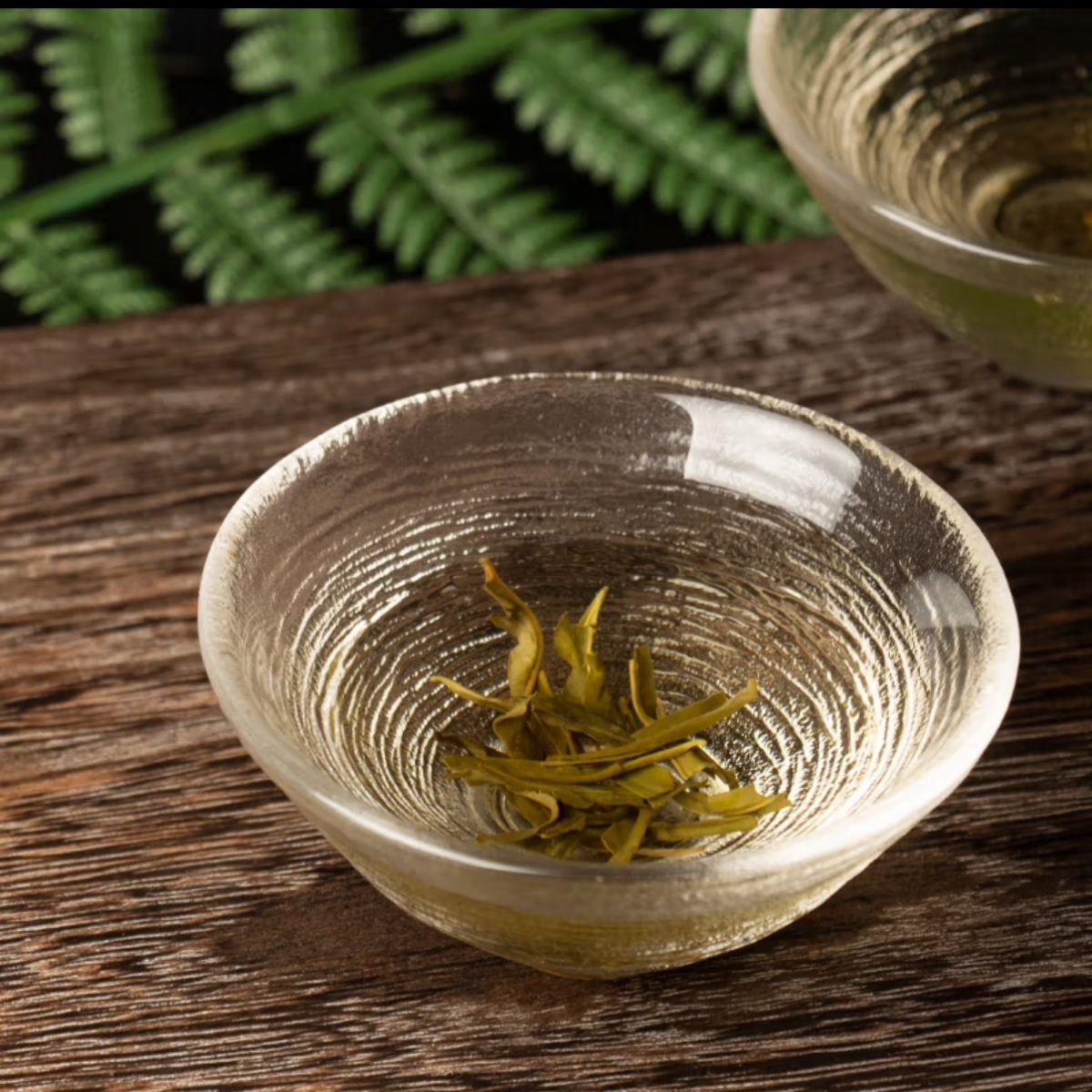 Organic Sea Buckthorn Tea – Superfruit for Skin & Immunity