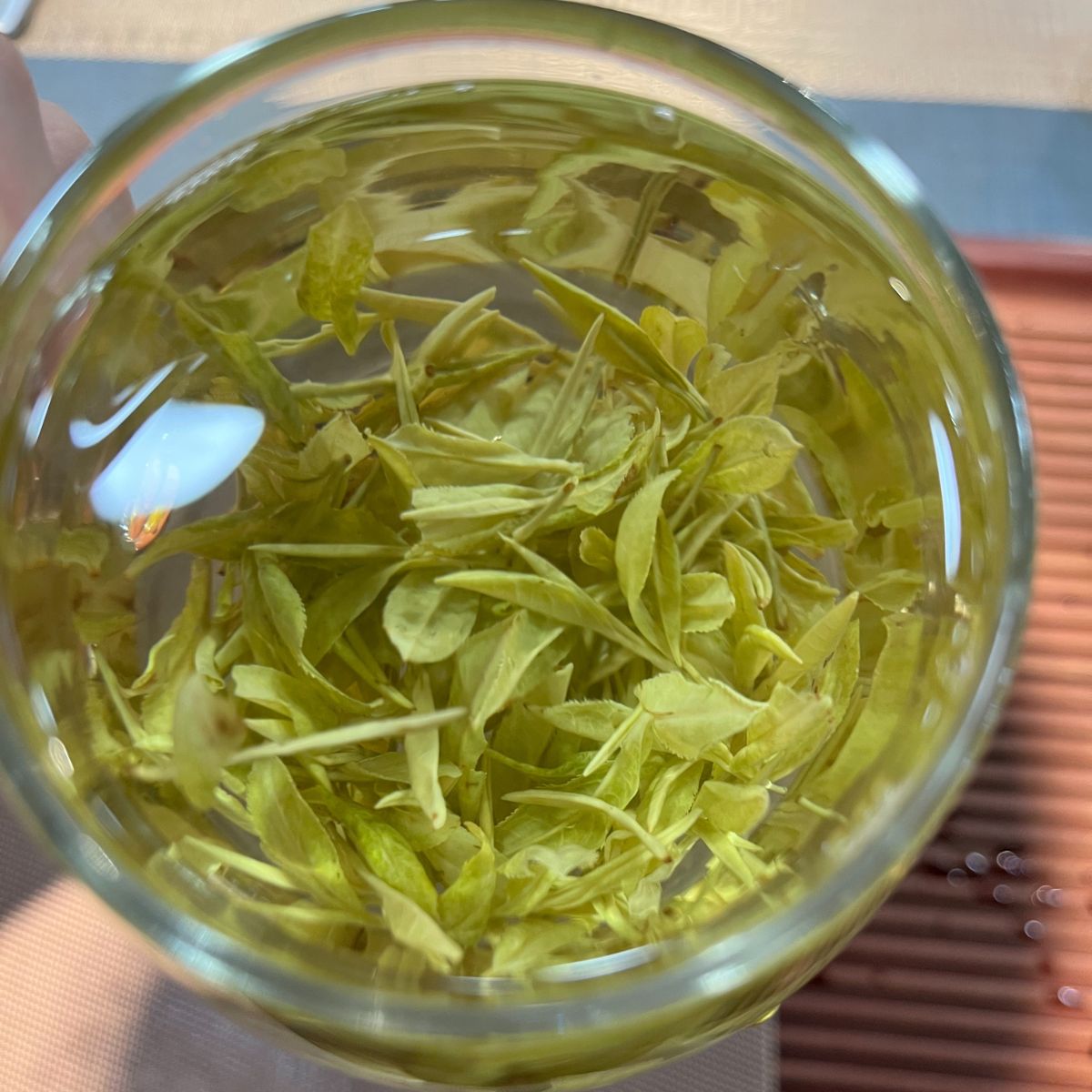 Premium Anji Milk White Tea – Rare White Leaf Green Tea with Milky Sweetness