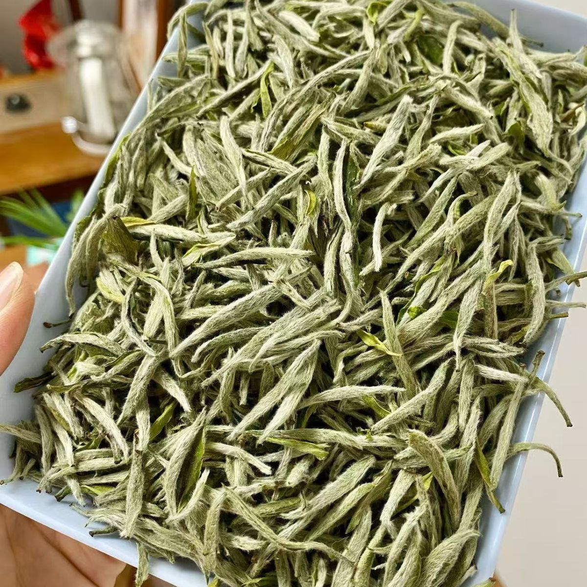 2024 First Grade Baihao Yinzhen (White Hair Silver Needle)