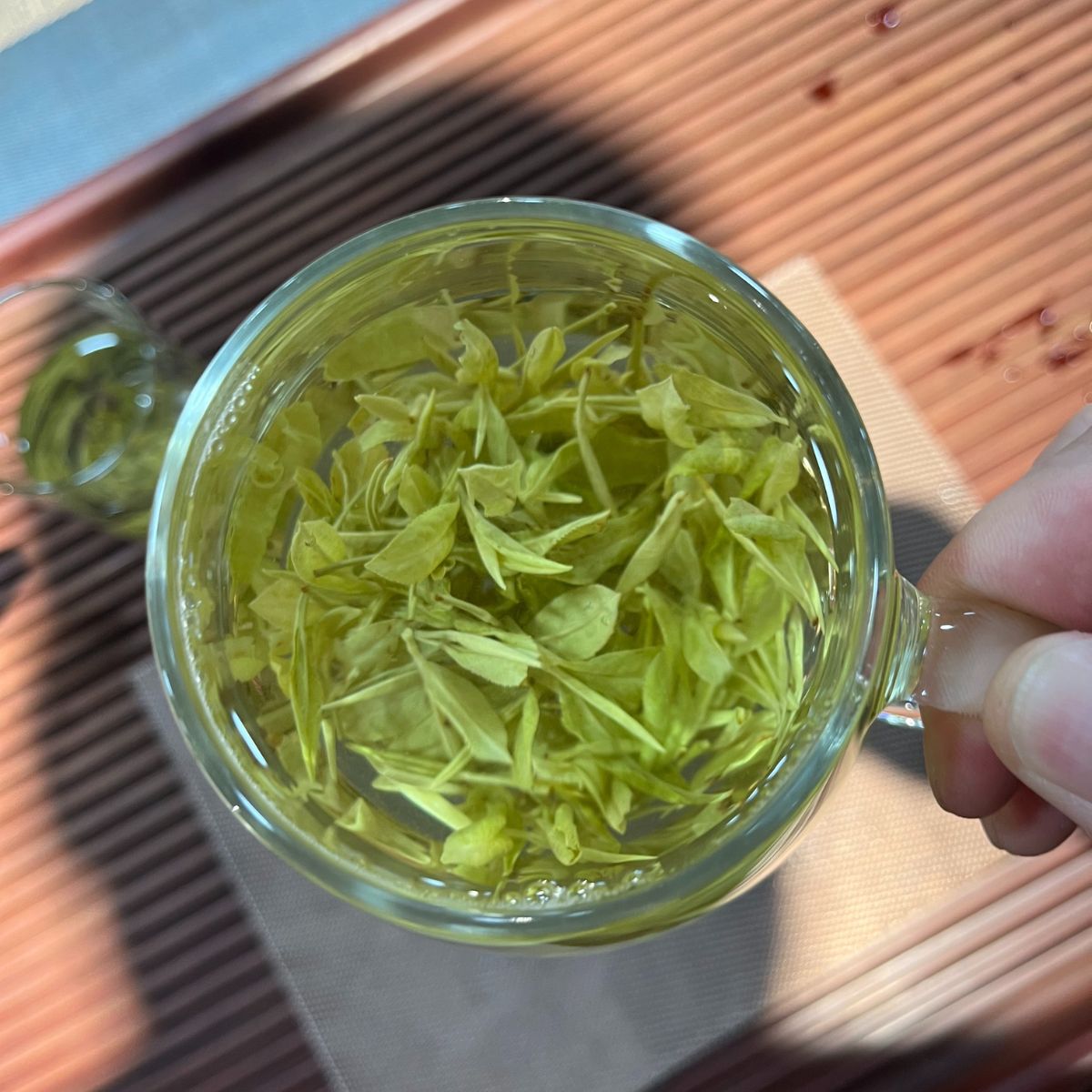 Premium Anji Milk White Tea – Rare White Leaf Green Tea with Milky Sweetness