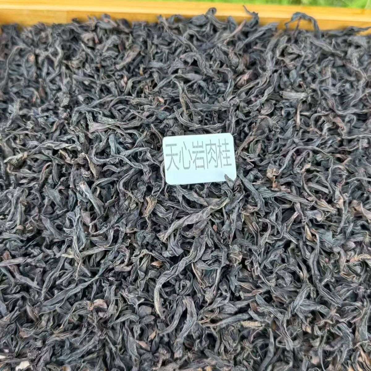 Tianxin Rock Rougui | Medium Roast Wuyi Zhengyan Cinnamon Bark Oolong