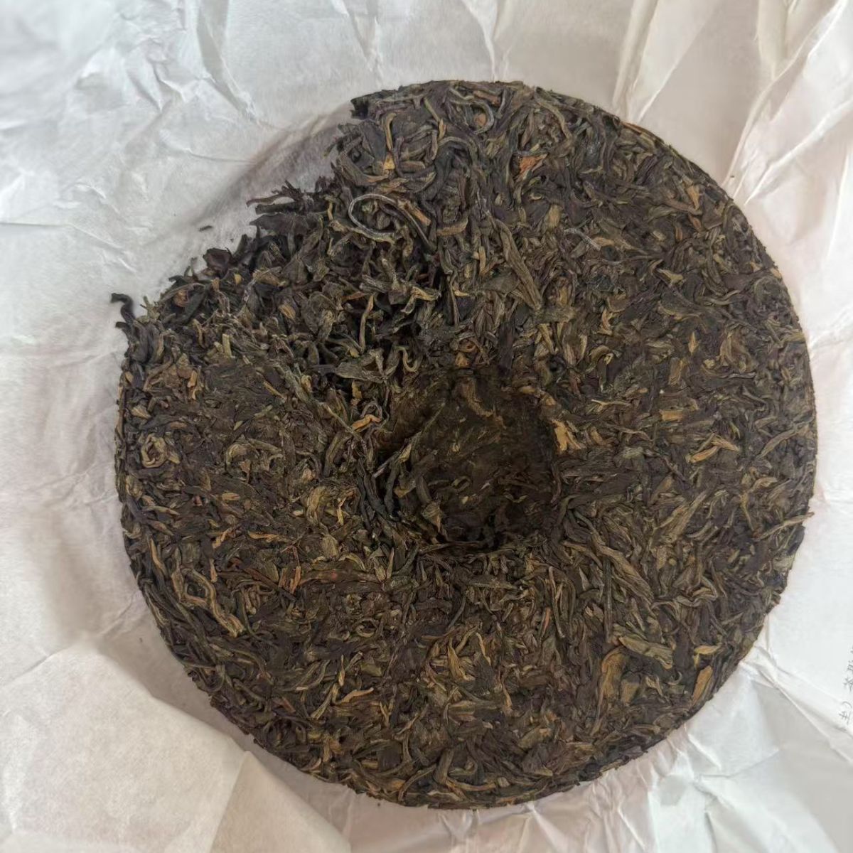 2010 YiWu Mountain Ancient Tree Raw Pu-erh (2025 Pressing) 357g– Floral, Honey & Chaqi