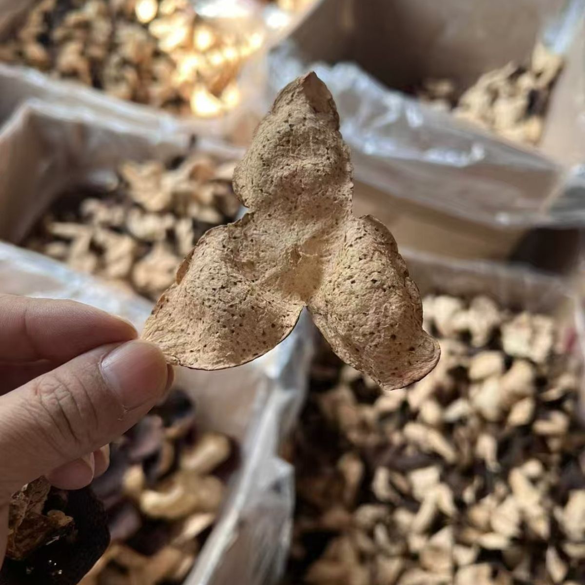 2014 Xinhui Chen Pi (Tangerine Peel) – 11 Years of Transformation