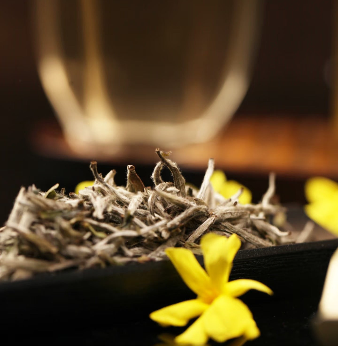 Fuding White Tea – Bai Hao Yin Zhen (Silver Needle) | Premium First Flush