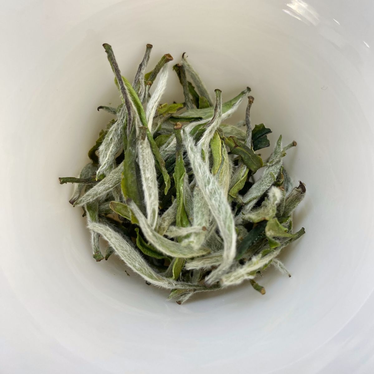 2025 First Harvest White Peony King
