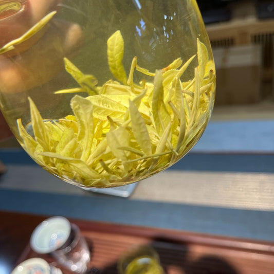 Premium Anji Milk White Tea – Rare White Leaf Green Tea with Milky Sweetness