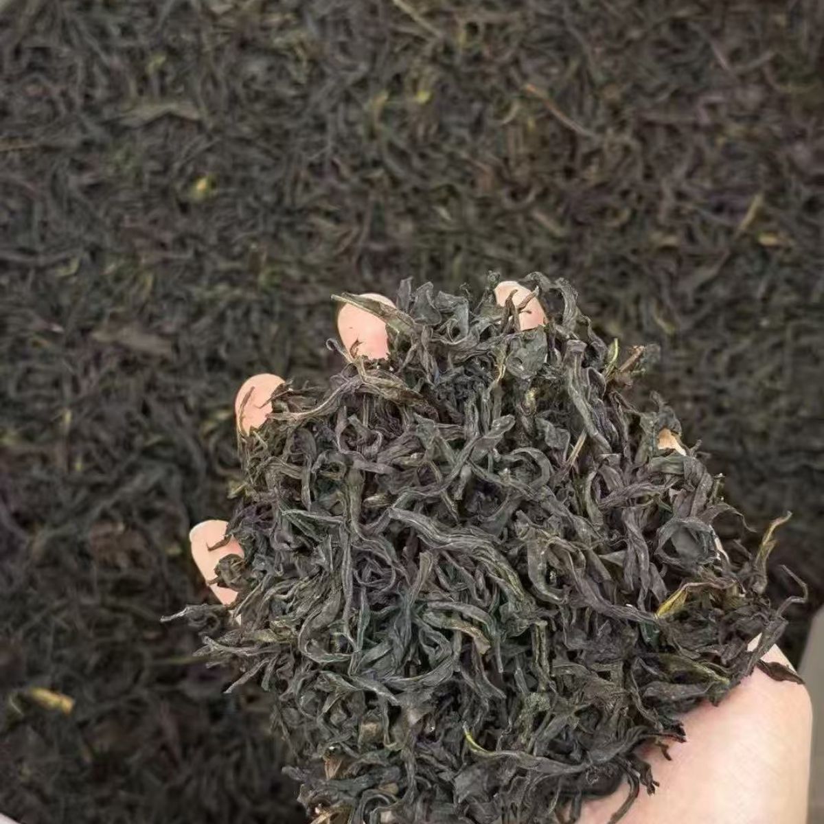 "Honey Orchid" Mi Lan Xiang Dan Cong Oolong Tea