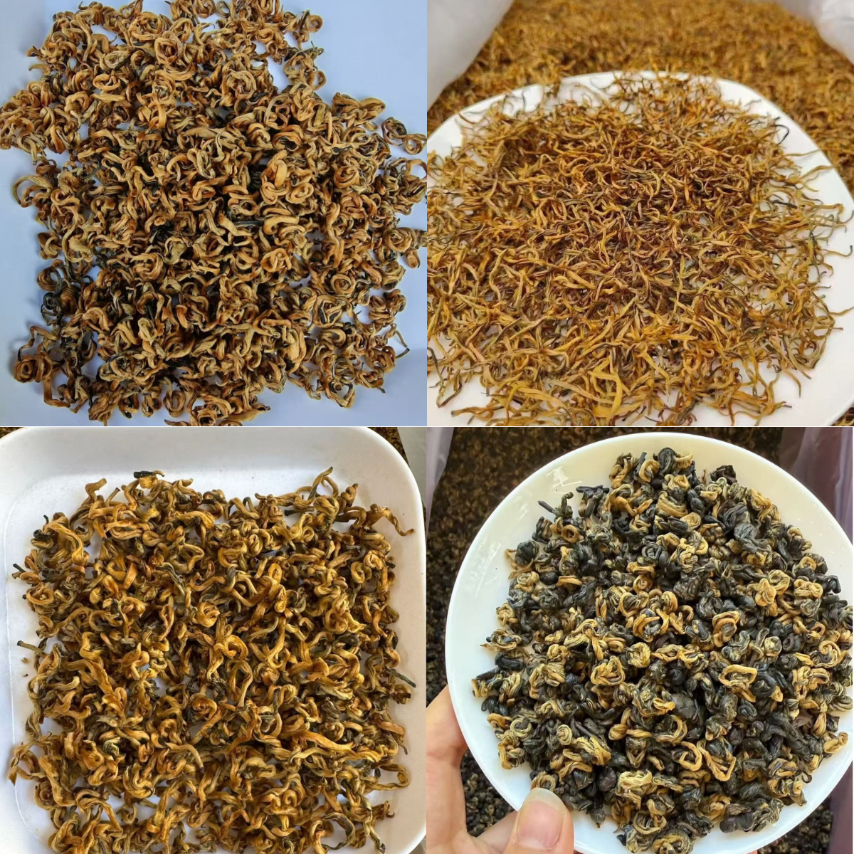 Dian Hong — Yunnan Black Tea Discovery Set | 12 Varieties × 1 Sachet Each (8.3g) | A Journey Through Yunnan
