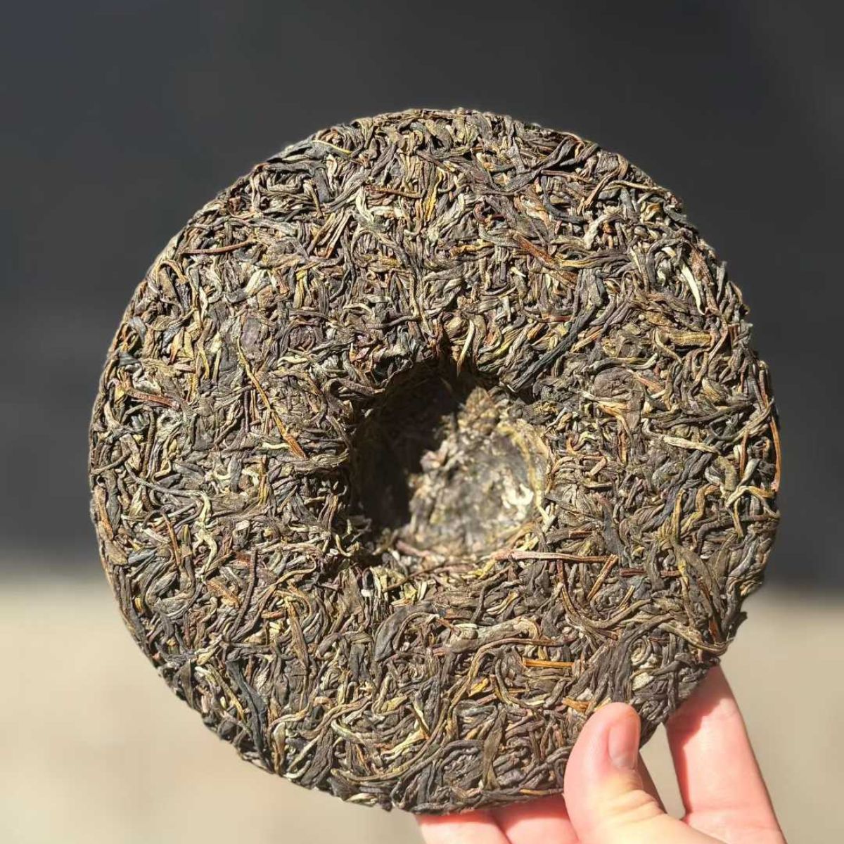 Wangong Ancient Tree Sheng Puerh Tea Cake 2021 - 357g Pristine Forest