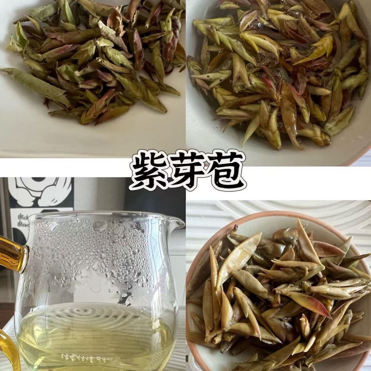 Wild Purple Tea Buds – Ancient Wild Tree Buds, Rich in Anthocyanins