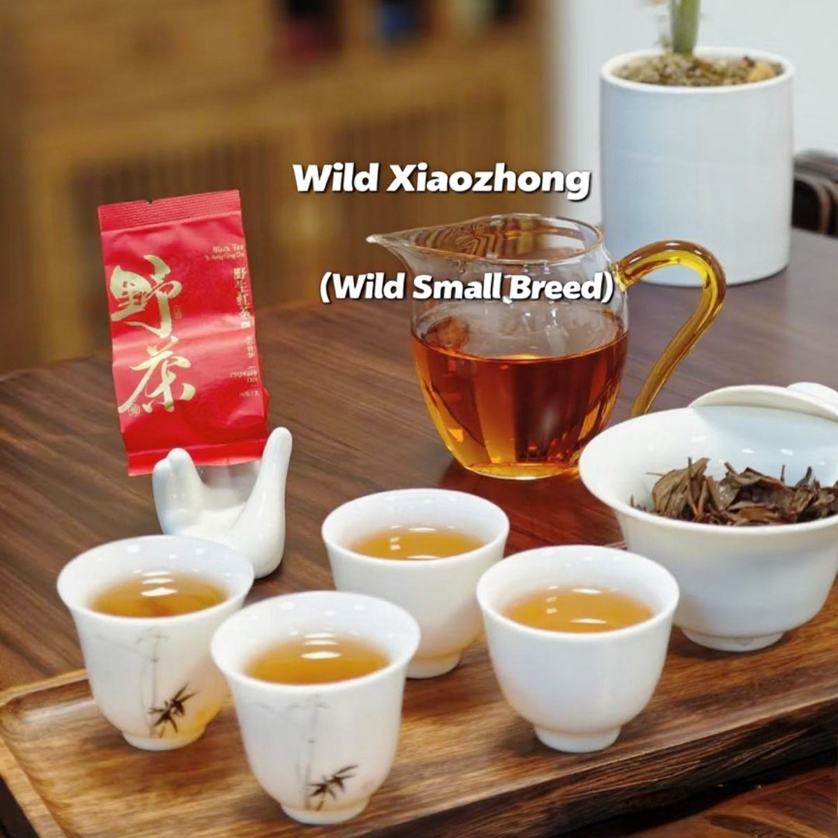 Wild Xiaozhong/Wild Lapsang 250g -Smoky Honeyed Mineral Woody Fruity