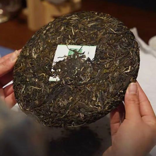 Raw Pu-erh Trio: Menglie + Nannuo Mountain + Wild Forest (1071g)