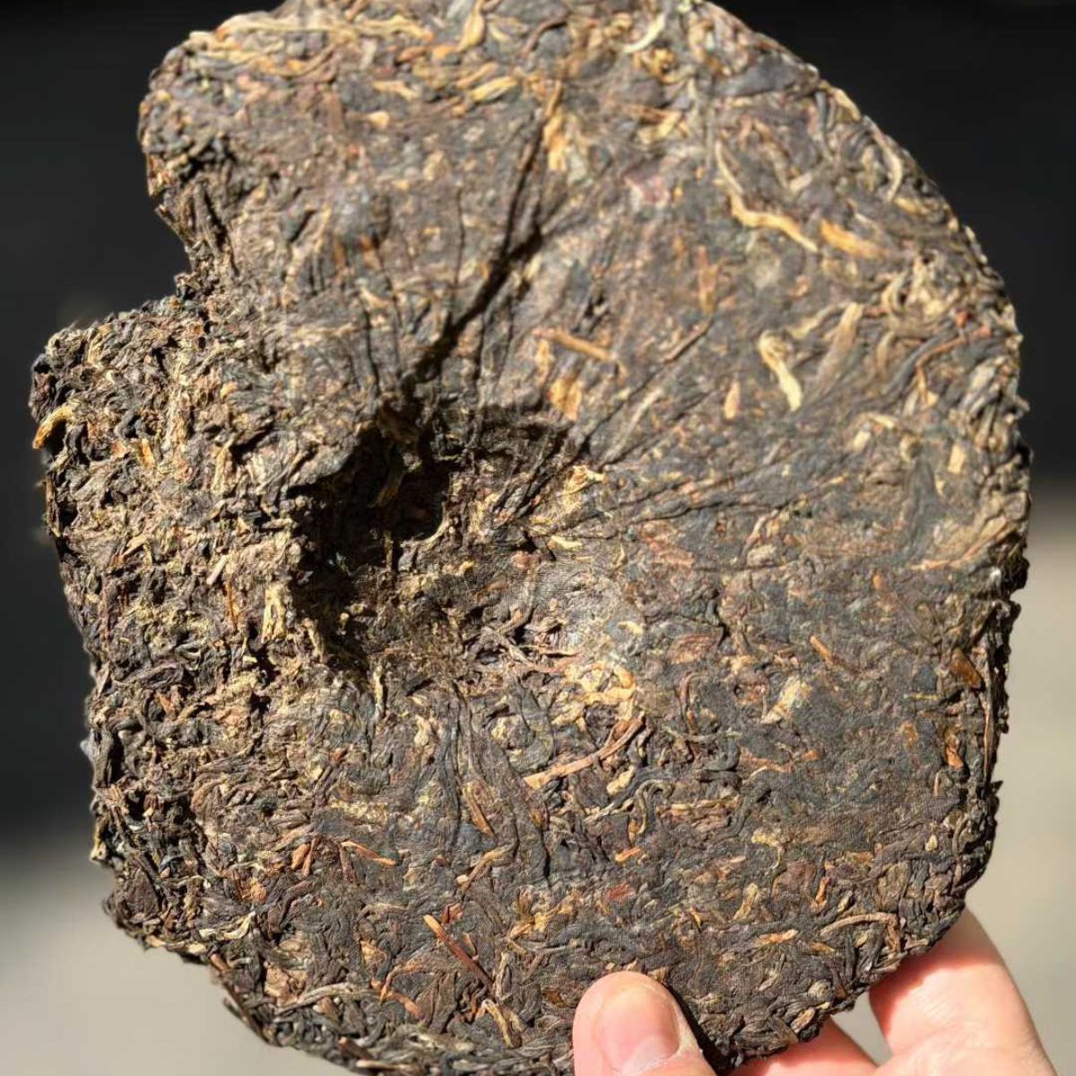 Xinghai Jin Yu Shang Bulang Mountain Arbor Ecological Sheng Puerh 2006 - 357g