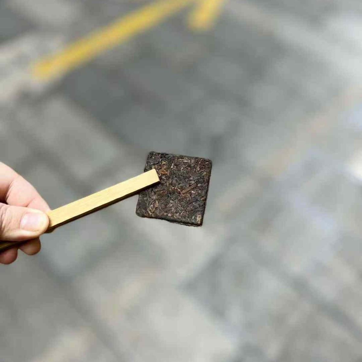 Ancient Tree Mellow Fragrance Shou Puerh Mini Cake 2019 - 8g per Piece