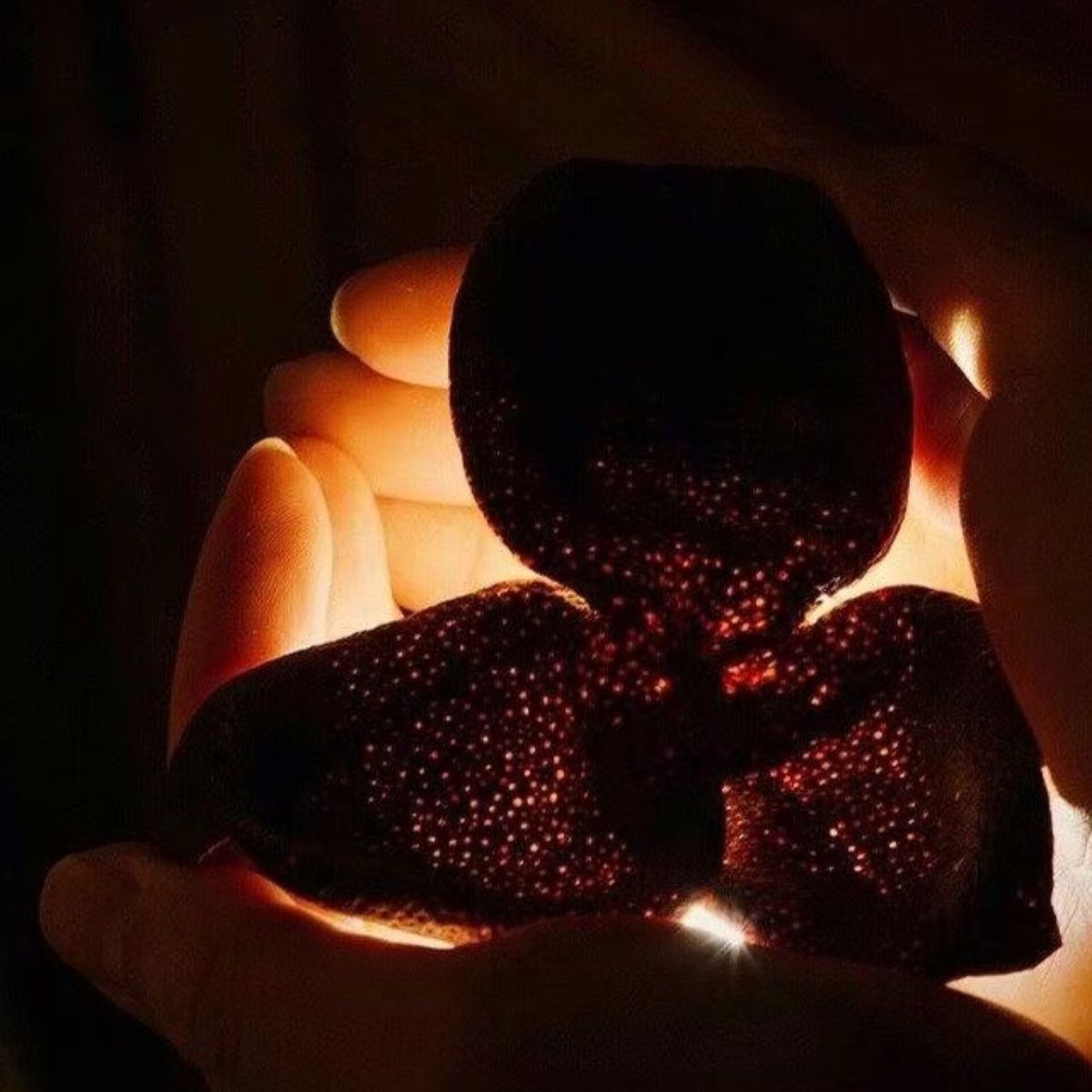 2014 Xinhui Chen Pi (Tangerine Peel) – 11 Years of Transformation