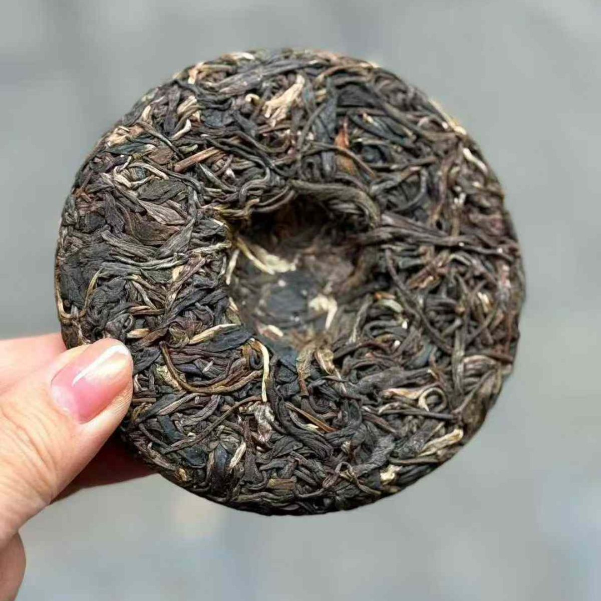 Bingdao Ancient Tree Mini Cake Sheng Puerh 2021 - 100g