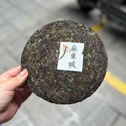 National Gift Tea 2025 Malipo Gold Award Sheng Puerh - 357g