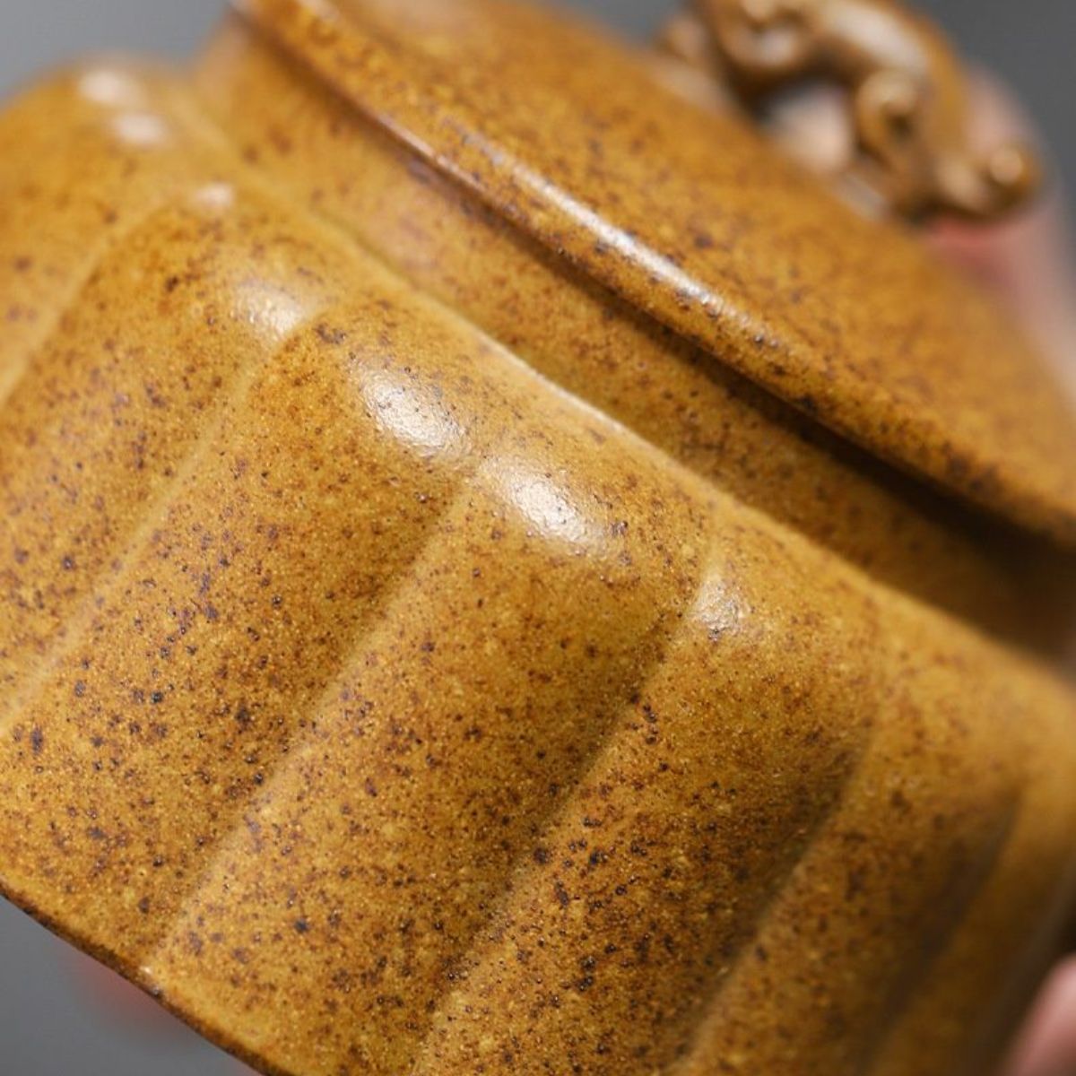 Long Rui Yixing Teapot | Raw Longgu Jinsha High-Fire Zisha Clay | Dragon-Inspired 300ml
