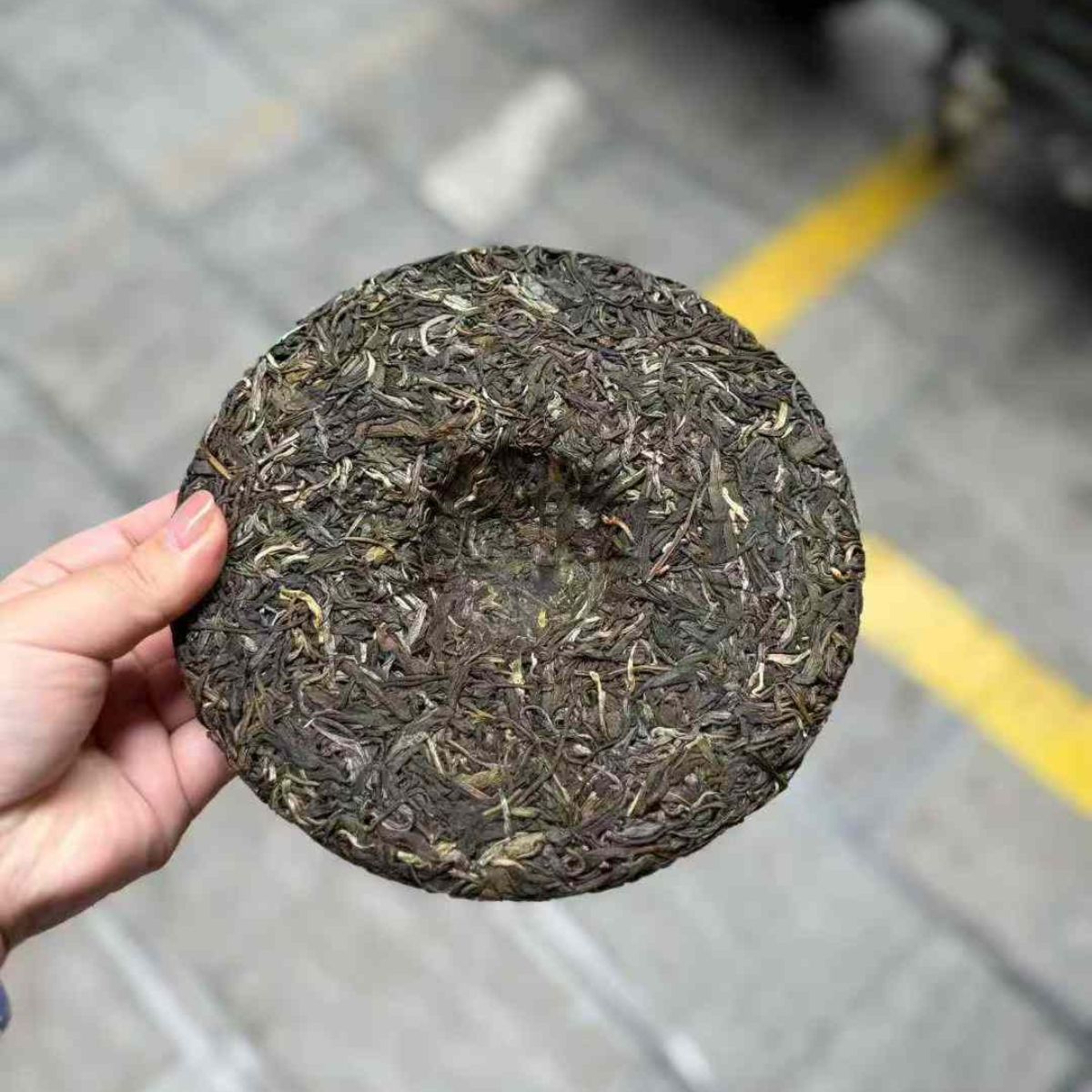 National Gift Tea 2025 Malipo Gold Award Sheng Puerh - 357g