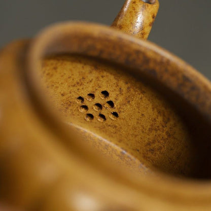Long Rui Yixing Teapot | Raw Longgu Jinsha High-Fire Zisha Clay | Dragon-Inspired 300ml