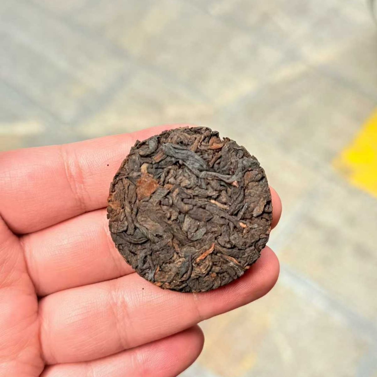 Bulang Mountain Shou Puerh Mini Round Tea - 8g per Piece