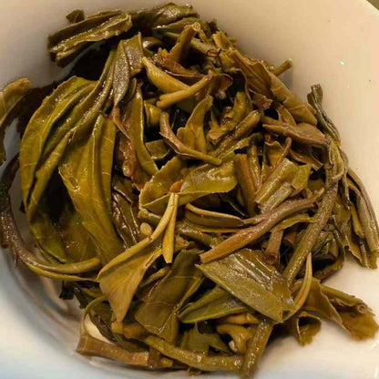 National Gift Tea 2025 Malipo Gold Award Sheng Puerh - 357g