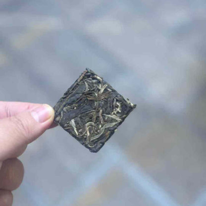 Xiao Hu Sai Ancient Tree Sheng Puerh Square Cake 2022 - 8g per Piece