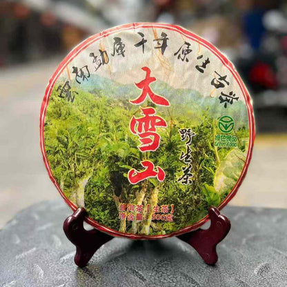 Da Xue Shan Wild Ancient Tree Sheng Puerh Tea Cake 2003 - 500g Lincang