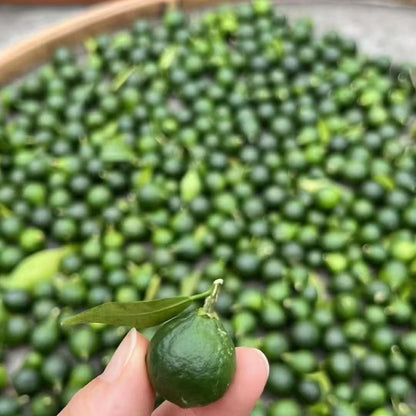 Xinhui Immature Tangerine Tea | Spleen & Stomach Care, Phlegm Relief & Mind‑Calming Tea