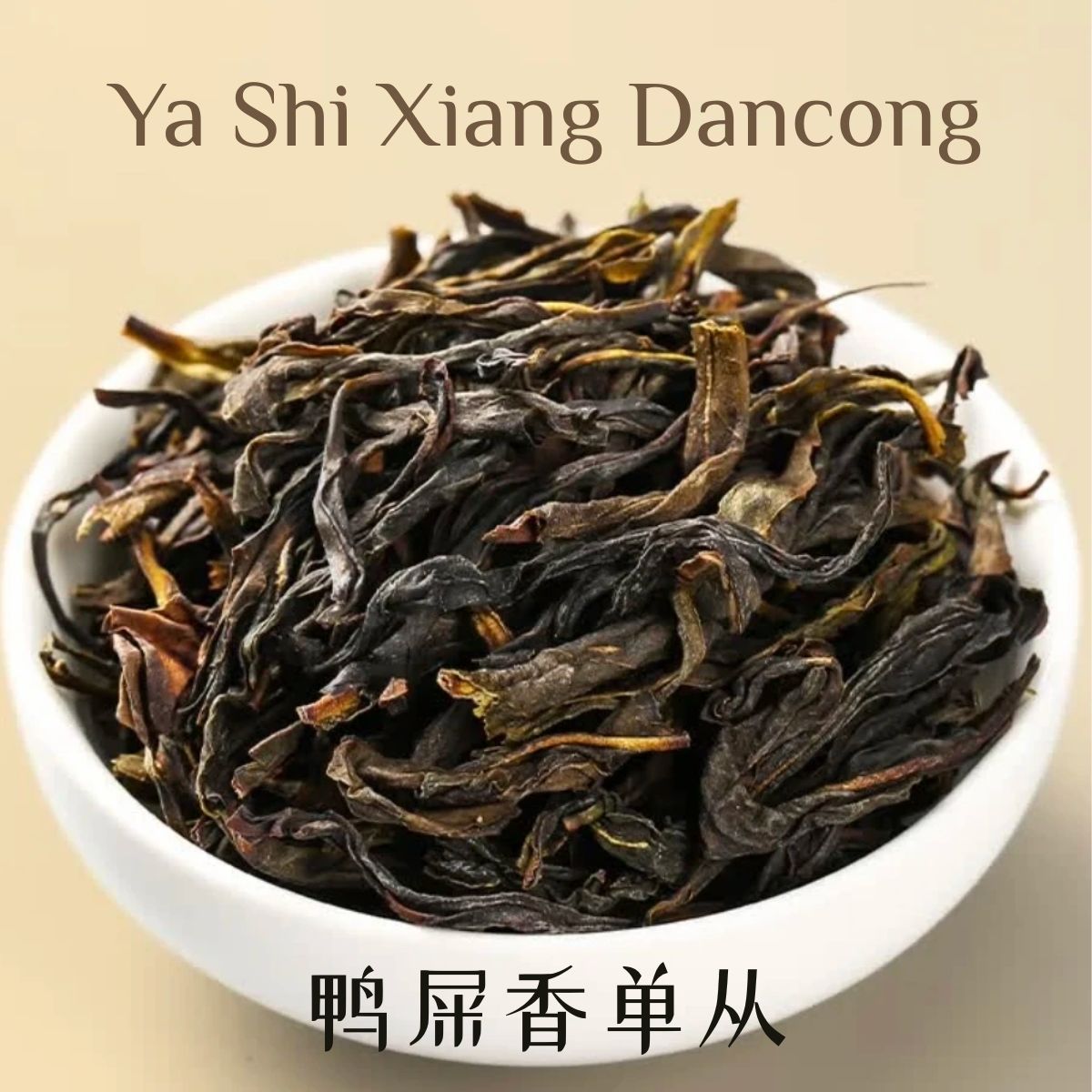 2026 Spring Ya Shi Xiang Dancong Oolong Tea — Duck Shit Aroma | Phoenix Mountain