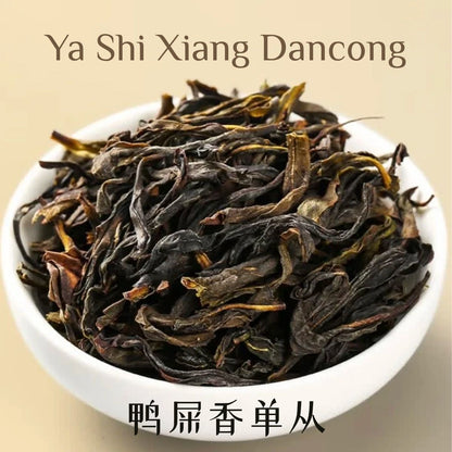 2026 Spring Ya Shi Xiang Dancong Oolong Tea — Duck Shit Aroma | Phoenix Mountain