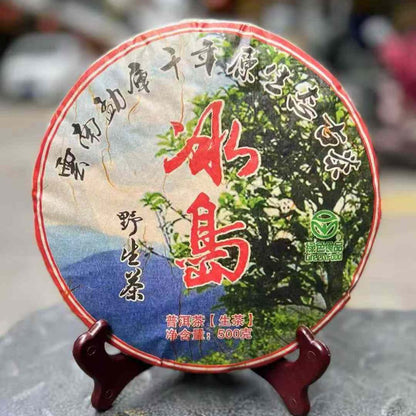 Bing Dao Wild Ancient Tree Sheng Puerh Tea Cake 2005 - 500g Mengku