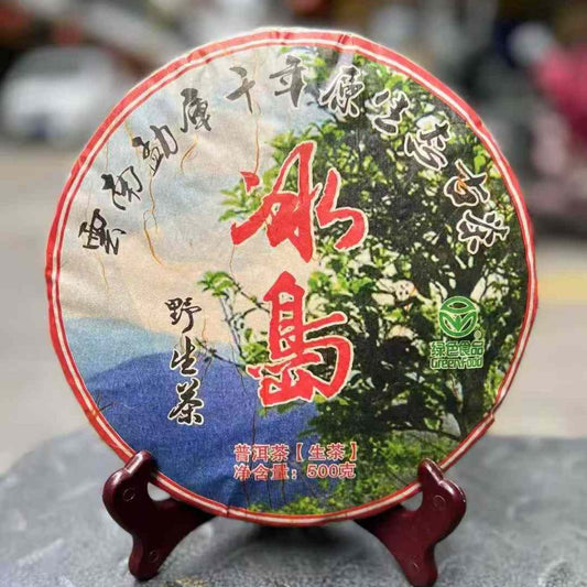 Bing Dao Wild Ancient Tree Sheng Puerh Tea Cake 2005 - 500g Mengku