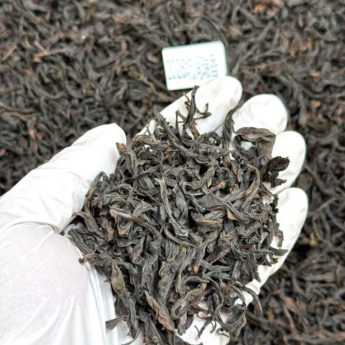 2026 Keng Jian Rui Xiang | Wuyi Rock Oolong — Gardenia, Honey Peach & Silky Sweet