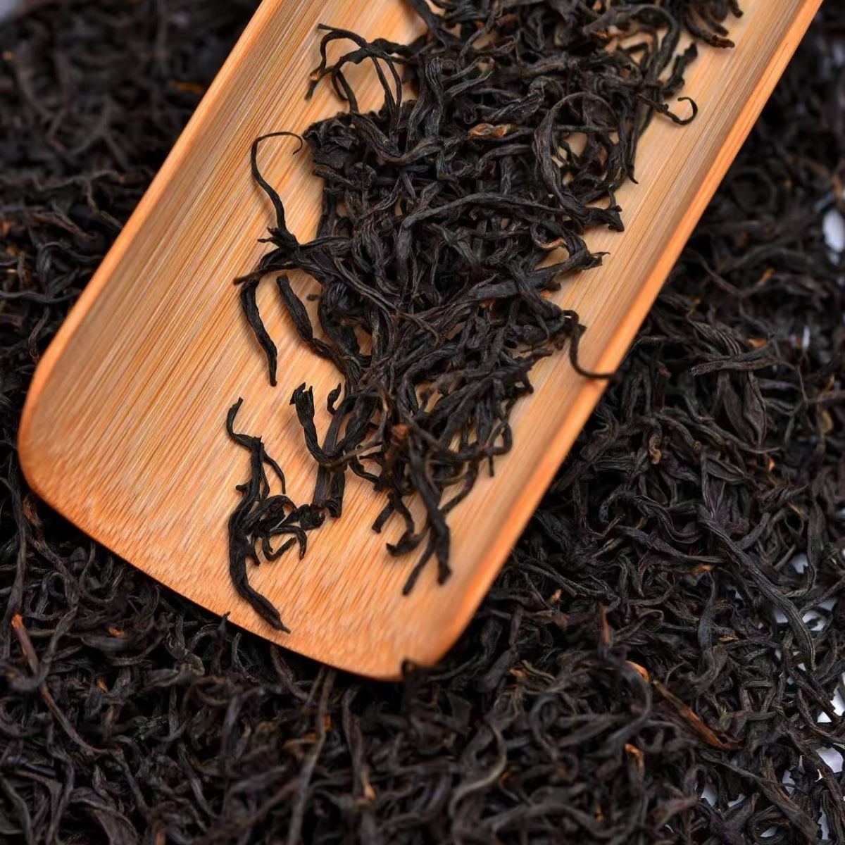 Lapsang Souchong Black Tea – Smoky, Bold & Timeless Fujian Classic