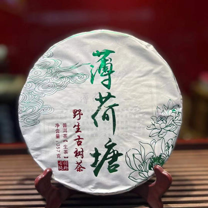 2020 Wild Bo Hetang ( Mint Valley)  Ancient Tree Raw Pu-erh Cake – 357g
