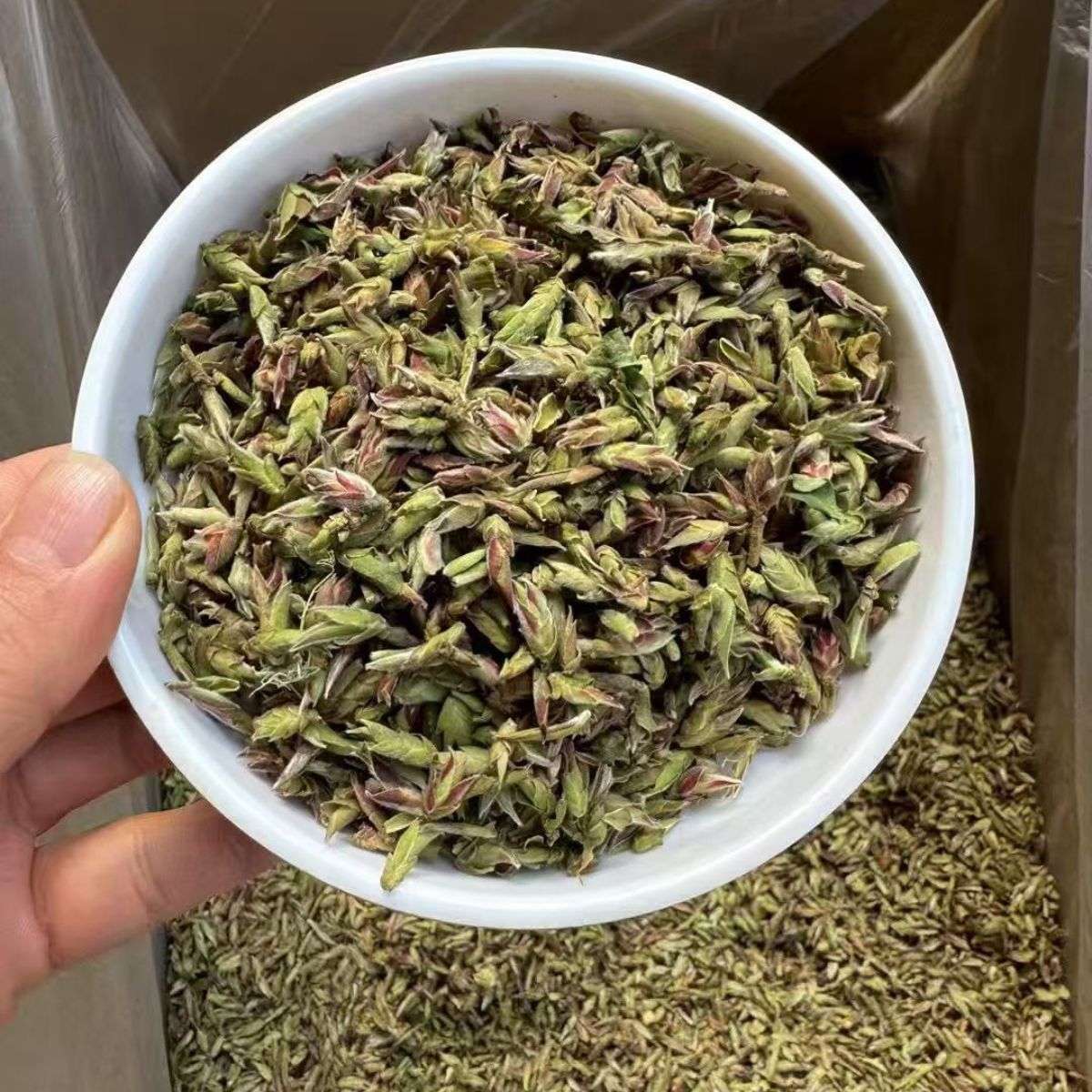 Wild Purple Tea Buds – Ancient Wild Tree Buds, Rich in Anthocyanins