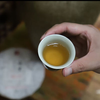 Premium Raw Pu-erh Set (357g x 3 Cakes) - Banzhang + Bingdao + Jingmai