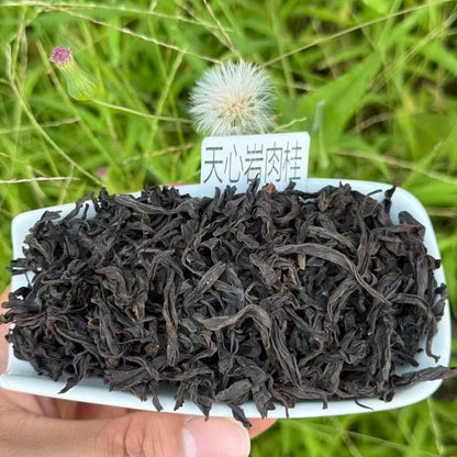Tian Xin Yan Rougui | Wuyi Core Zheng Yan Rock Oolong — Medium-Full Roast, Thick & Explosive