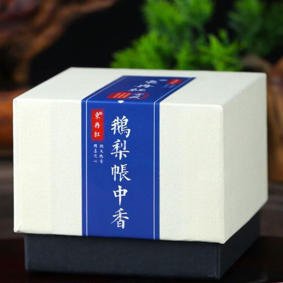 Goose Pear & Sandalwood Coil Incense – 9A Grade Handcrafted Agarwood Blend