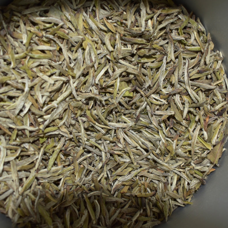 Fuding White Tea – Bai Hao Yin Zhen (Silver Needle) | Premium First Flush