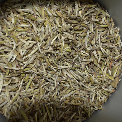 Fuding White Tea – Bai Hao Yin Zhen (Silver Needle) | Premium First Flush