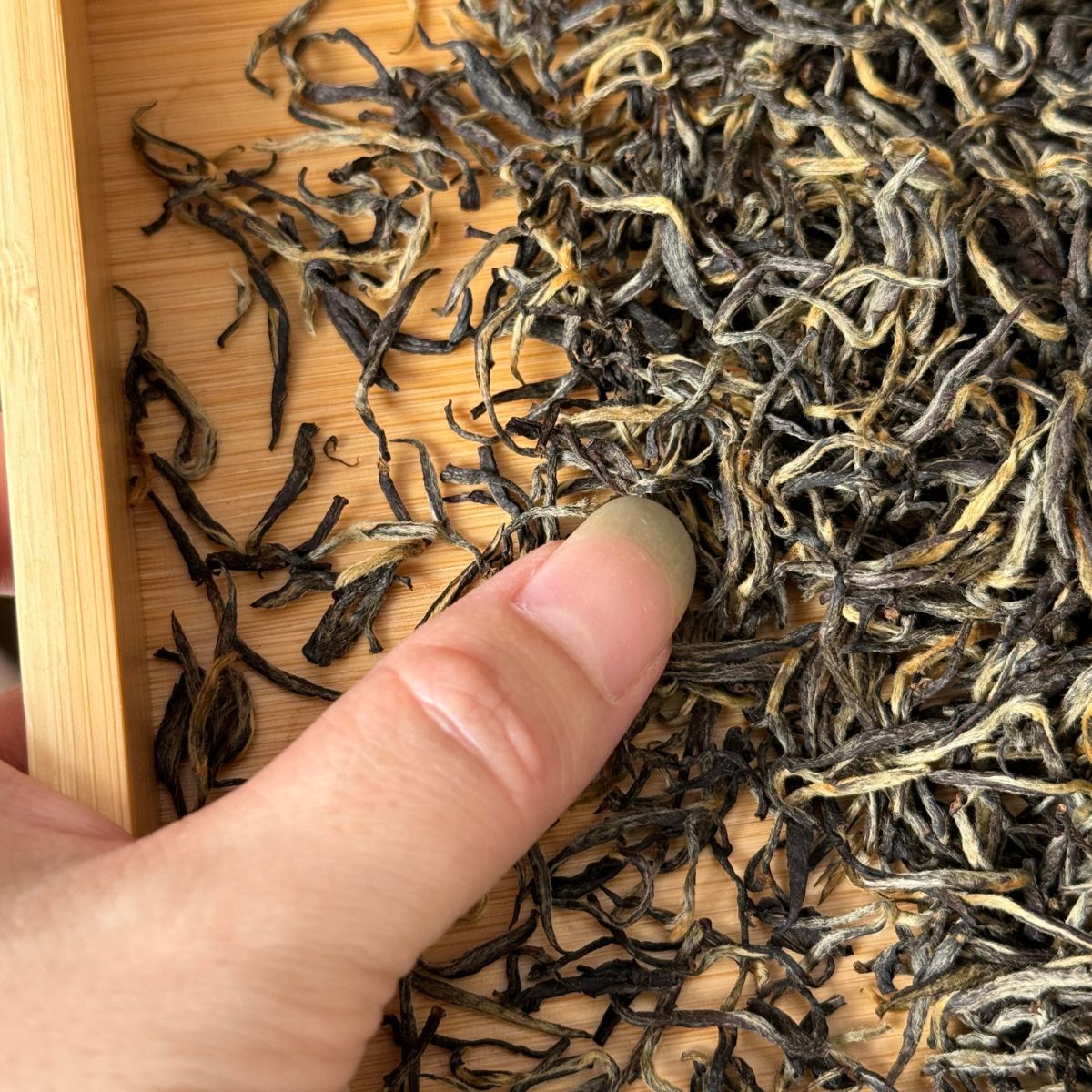 Jin Jun Mei "Mei Zhan" Black Tea