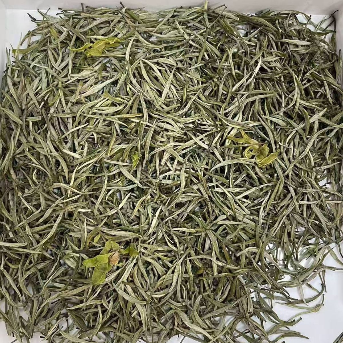 Jiuyin Lanxue | Nine-Scenting Orchid Snow — Silver Needle Scented with Fresh Orchid