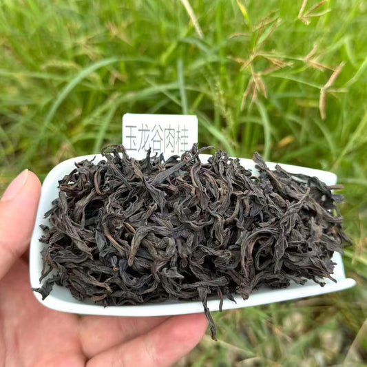 Yu Long Gu Rougui | Wuyi Valley Half-Rock Oolong — Fruity, Camphor & Effortlessly Drinkable