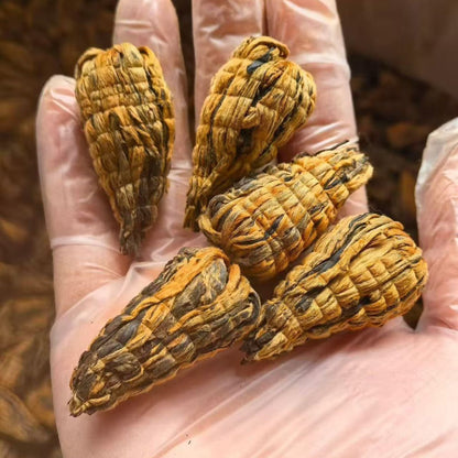 Yunnan Fengqing Black Tea Pagoda Premium 2025 - Hand-Woven Blooming Tea