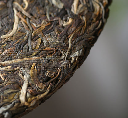 Aged 7520 Seven-Colored Peacock Raw Pu-erh – Complex, Honeyed & Orchid Fragrance