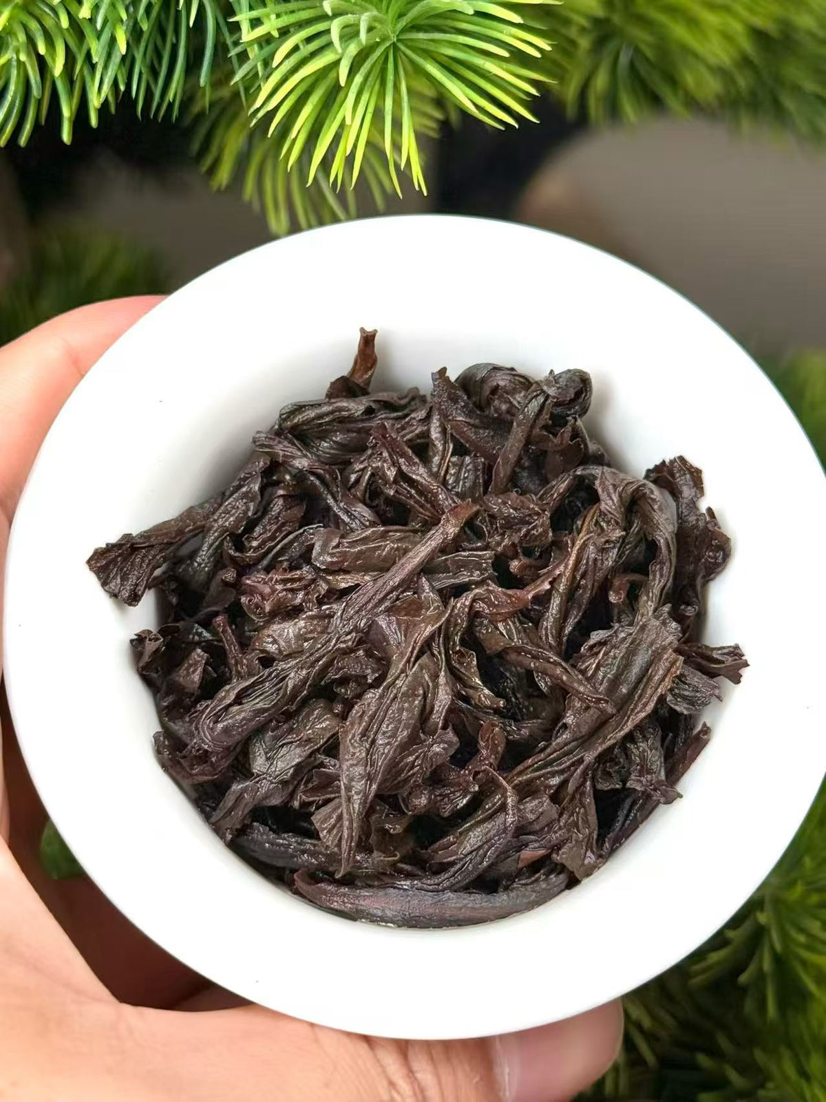 Gu Cong Ting Quan | Old Bush Shuixian Wuyi Oolong — Floral, Mossy & Deep Cong Yun Character (50g / 250g / 500g)