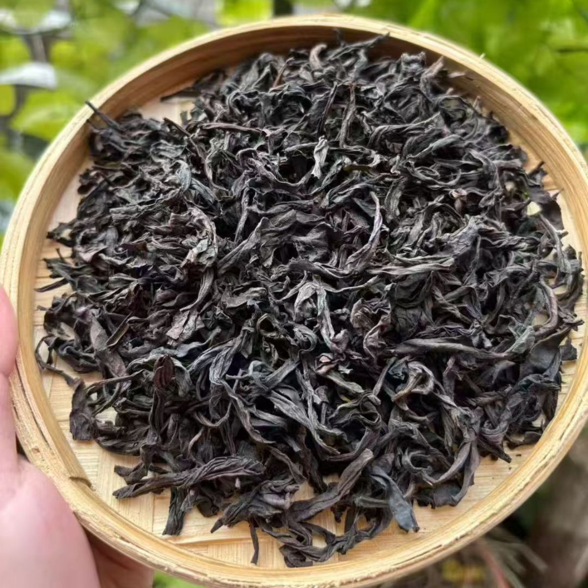 Wu San Di Old Bush Shui Xian (老枞水仙) | Premium Gift Box | 8.5g × 2 Portions
