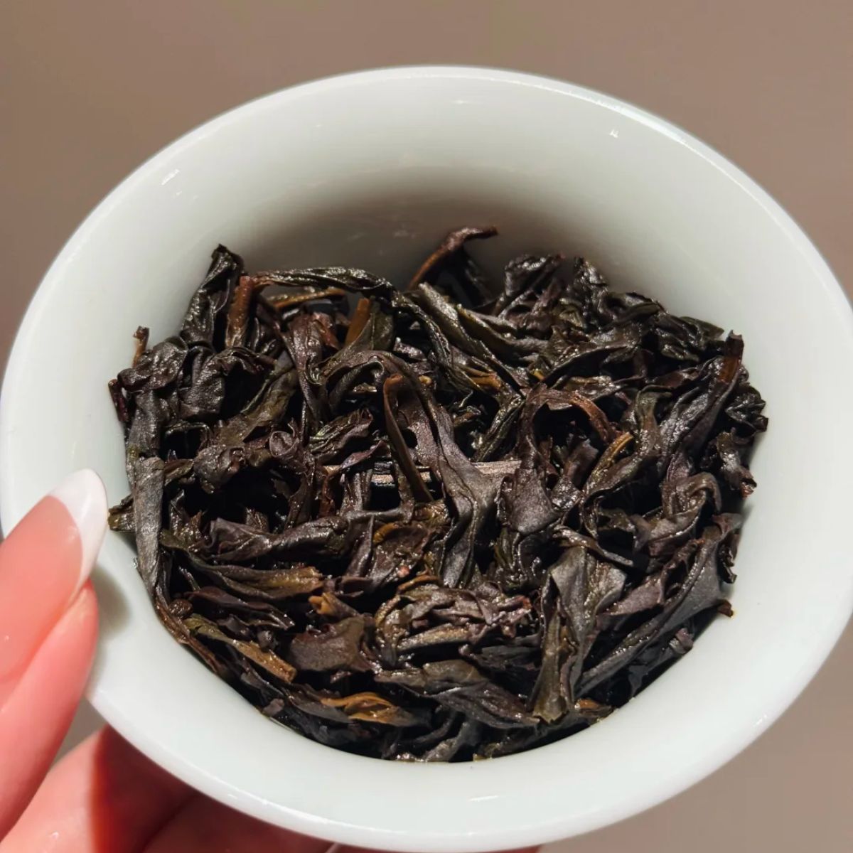 Wu San Di Old Bush Shui Xian (老枞水仙) | Premium Gift Box | 8.5g × 2 Portions